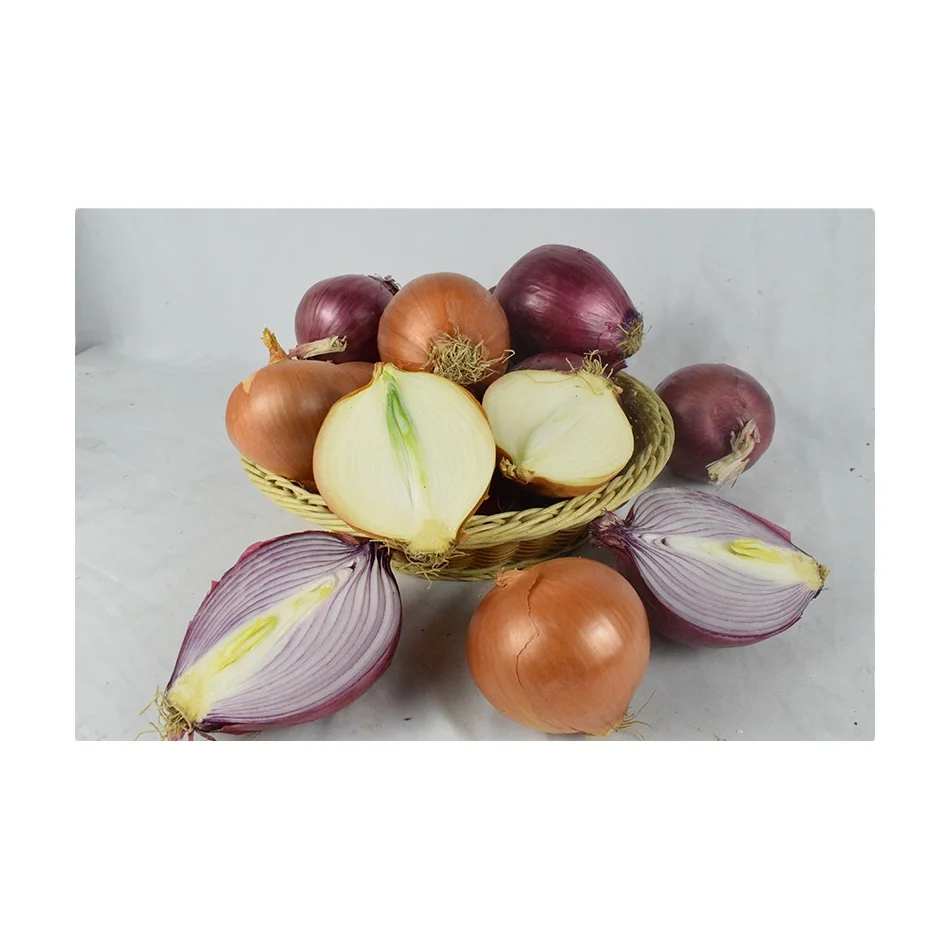 Chinese suppliers wholesale high-quality, high-quality onions and export vegetables