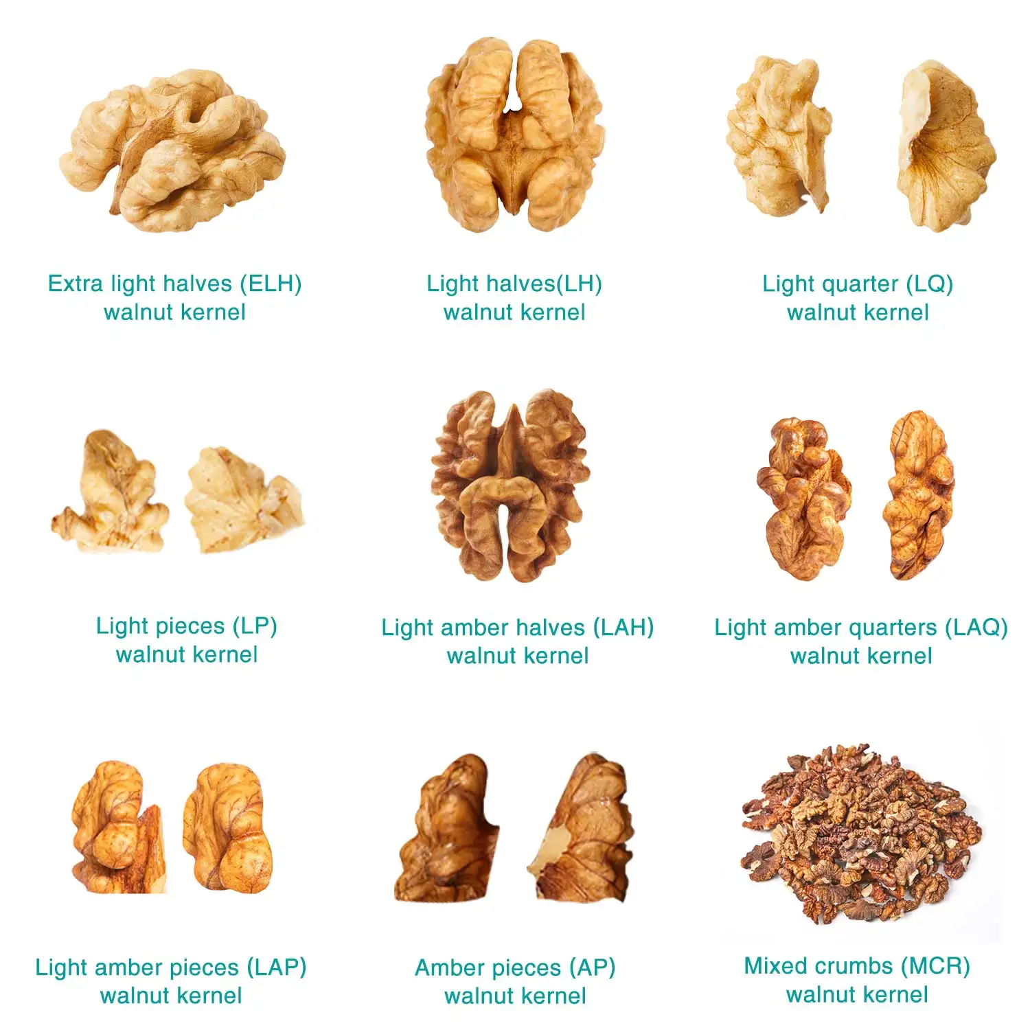 Wholesale Xinjiang Raw Dried Walnuts Halves Kernels For Sale walnut kernel walnut without shell