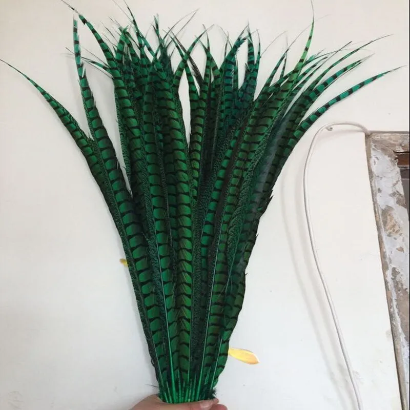 Wholesale Pheasant Feathers  70 cm  Lady Amherst Pheasant Feathers For Sale