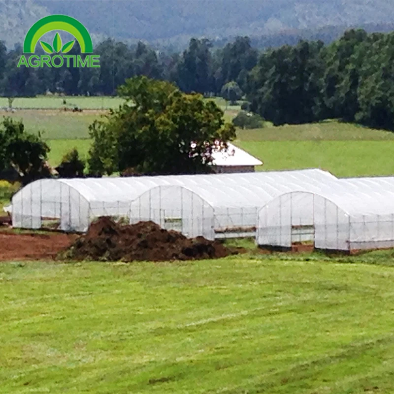CHINA AGROTIME The commercial agricultural cheapest plastic tunnel greenhouses for sale