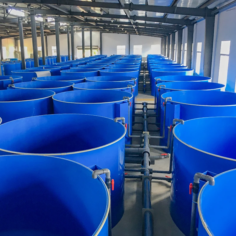 eWater Salt Water and Fresh Water Aquarium Fish Tank or Fish Pond For Above Ground Fish Farming System