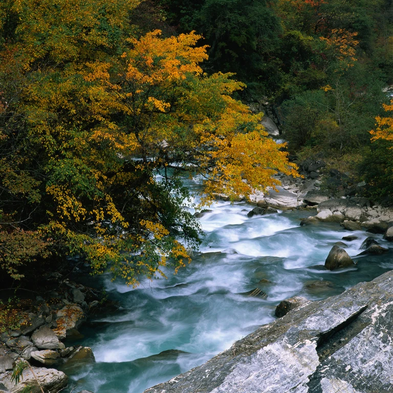 Promotional Products 3D Home Decoration Wall Paper Landscaping Mural Wallpaper For Bedroom