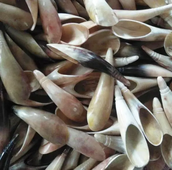 Wholesale Tianlan cow horn gua sha board big gua sha barrel tube tea spoon hollow pointing stick round point 18cm or more