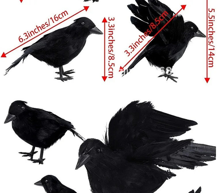 paste-pic-dp_uuid_eh4yy