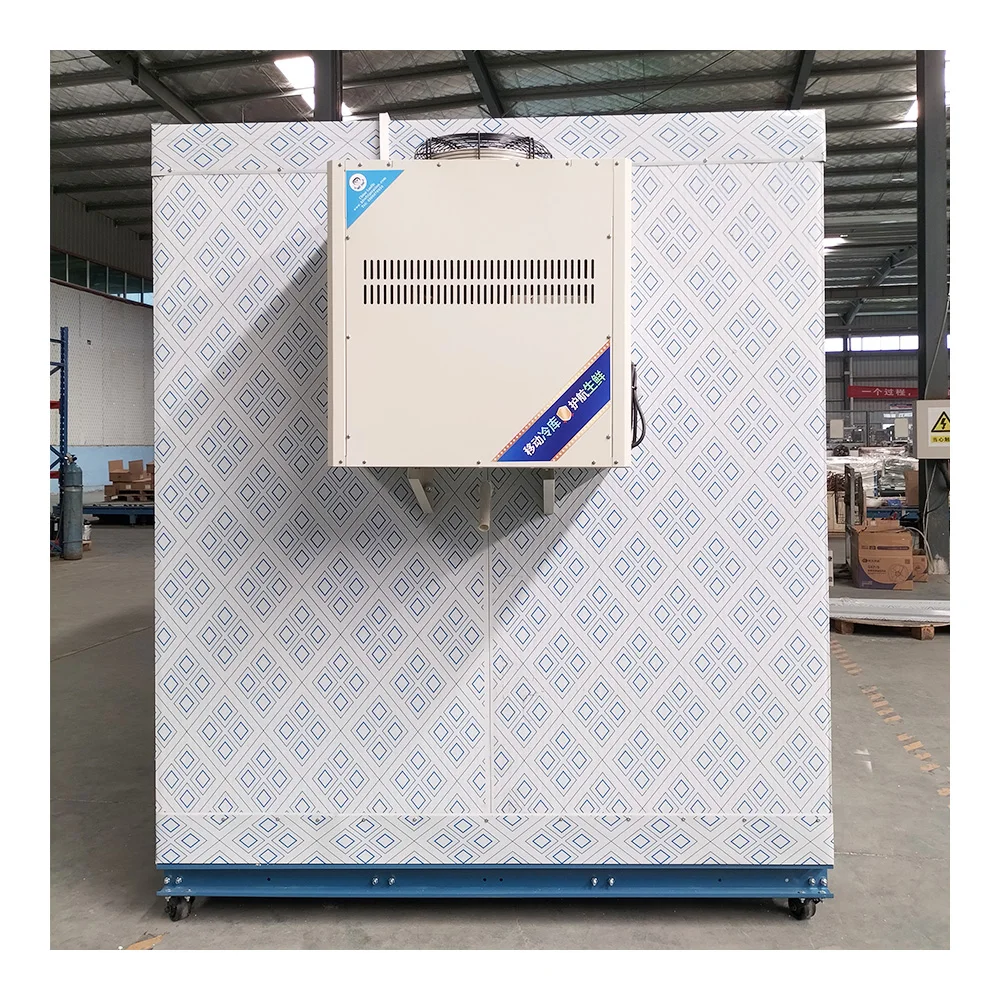 Side-embedded Monoblock Inverter Refrigeration Unit for Walk-in Freezer Chiller Small Cold Storage Room