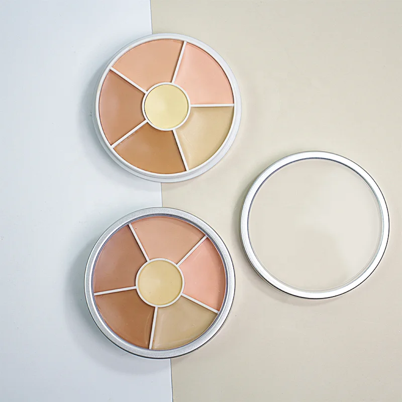 Professional OEM Factory Of High Quality Beauty Makeup Custom Cosmetics Full Coverage Concealer Concealer Palette
