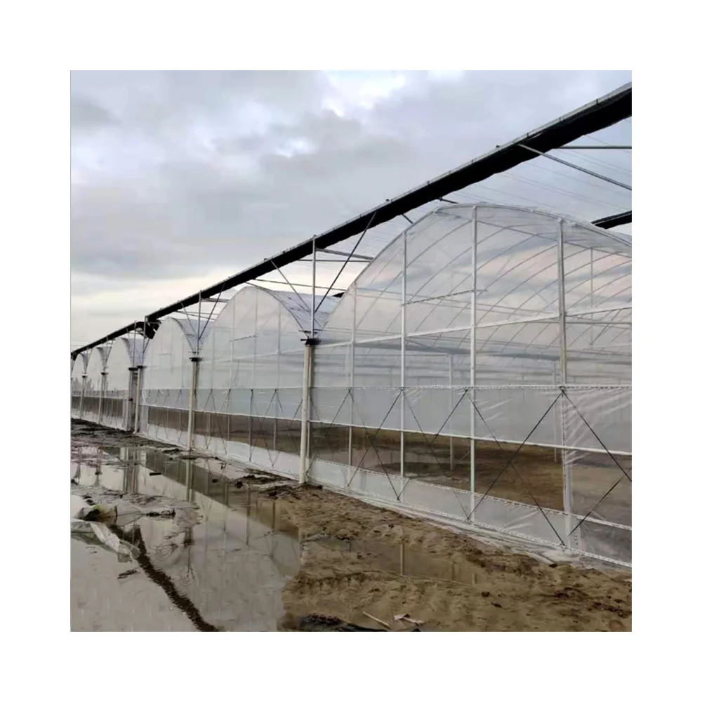 Wholesale Large PE Can Be Customized Single-Layer Strawberry Greenhouse Greenhouse Green House