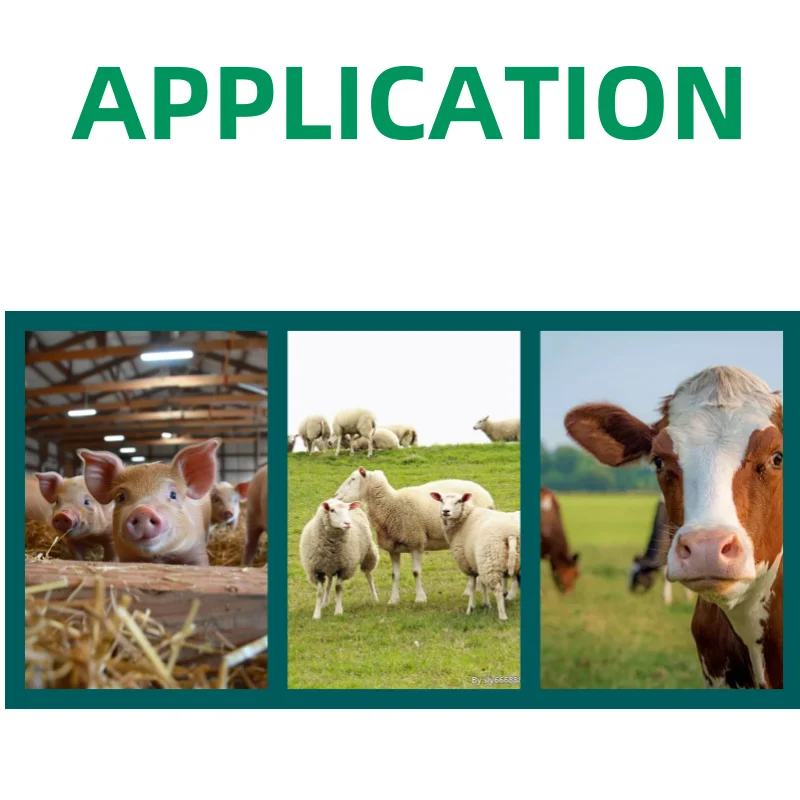 farming equipment feeding nozzles Veterinary Drencher Nozzles animal drenching needle for cow sheep