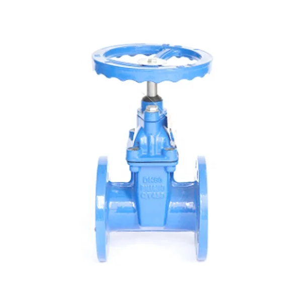 Чугунный подъемный стержень из ковкого чугуна, упругий сидячий задвижной клапан