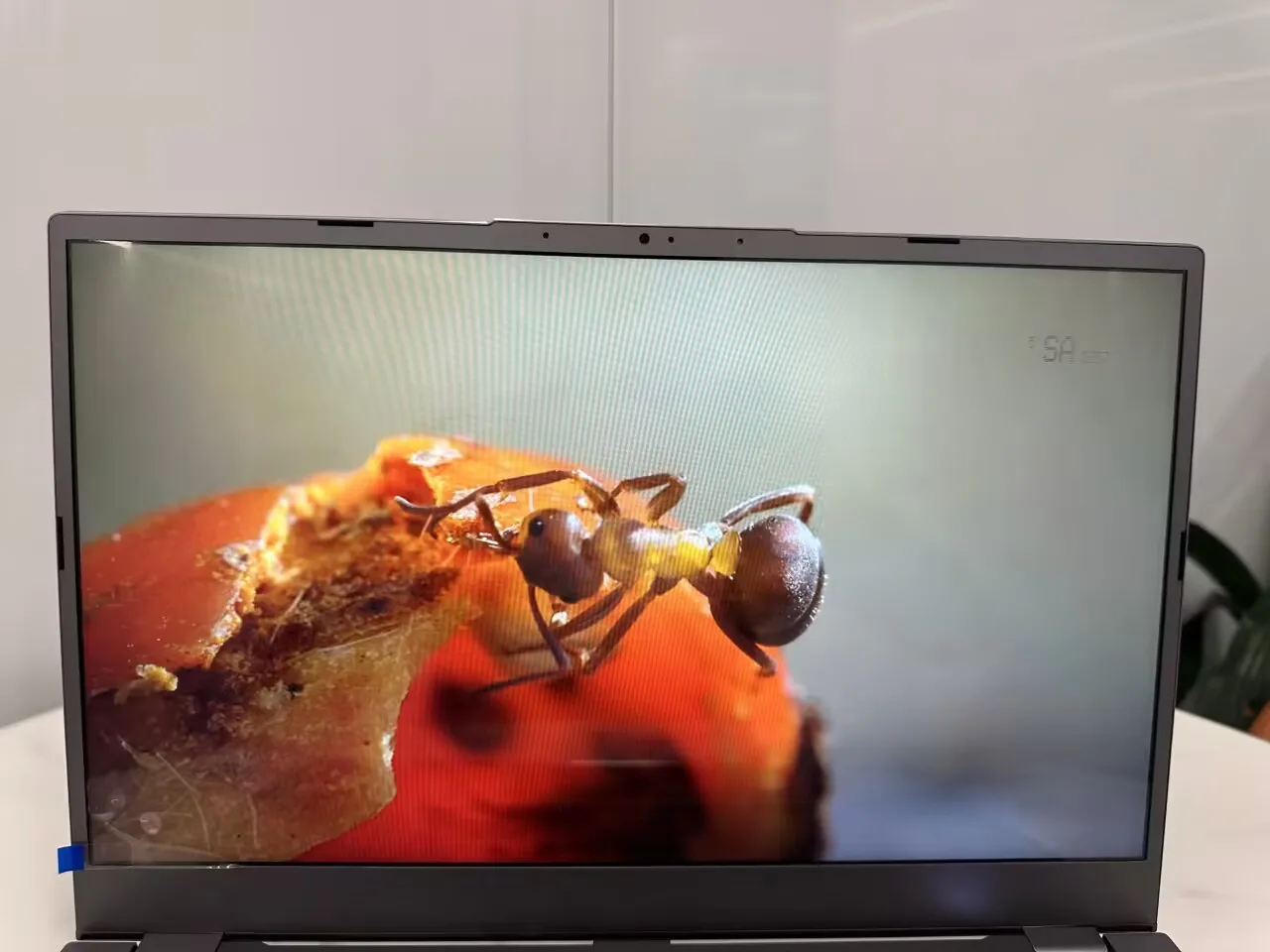 Intel Core i7 1185G7 Laptop Wholesale 15.6 inch IPS Win 10 Win 11 Slim Portable Laptop Computer Fingerprint Unlock For Business