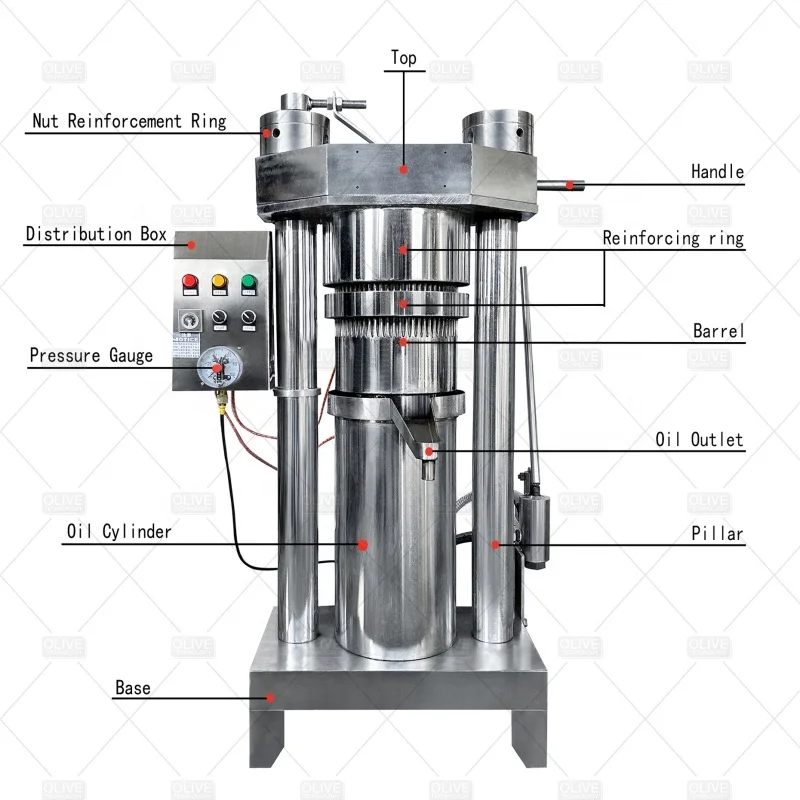 Oil Mill Press Machine Amaranth Seed Oil Press Machine Castor Oil Filter Press  Attractive Design New Type