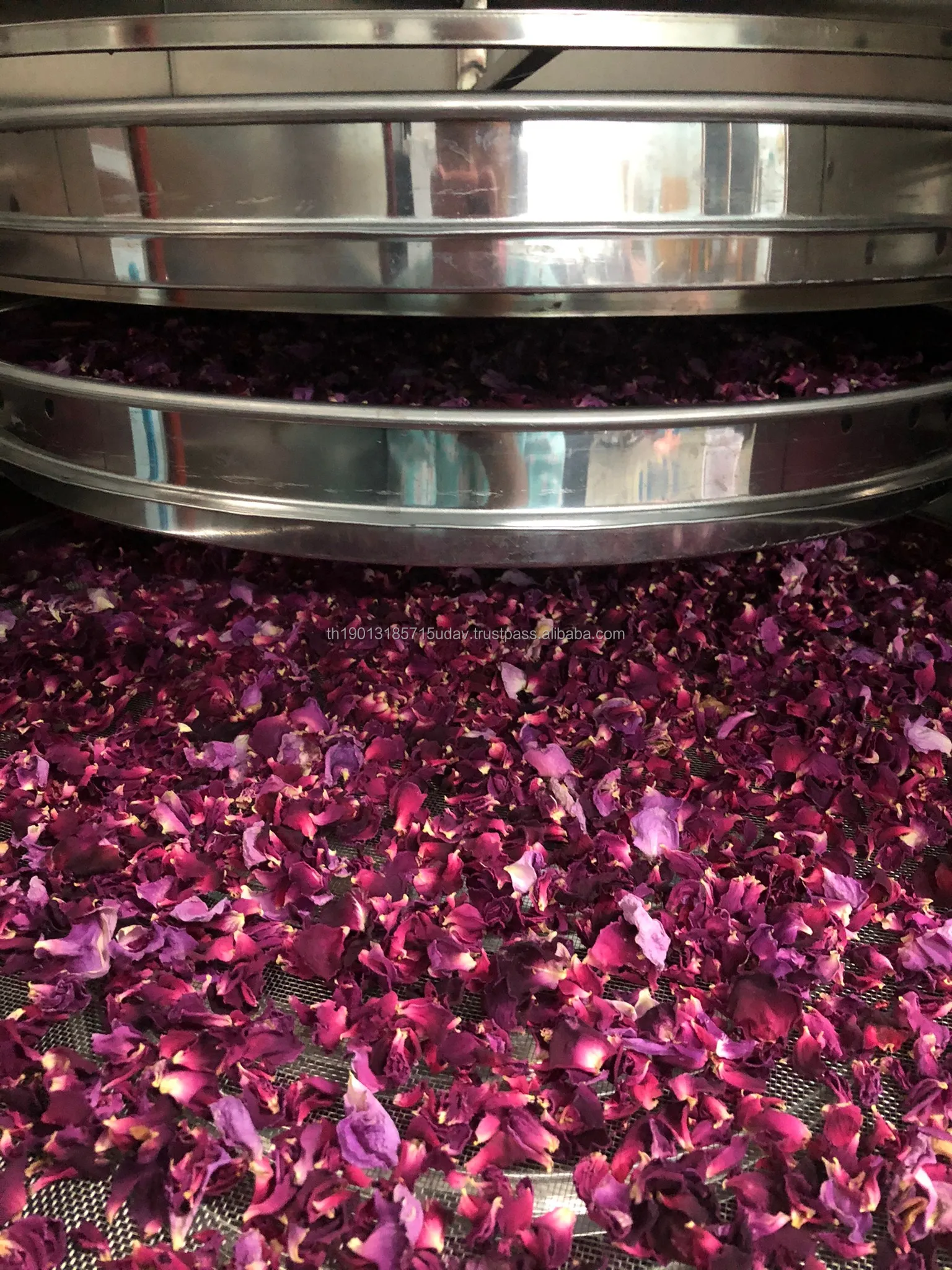 High Quality Premium Organic Rose Petal Tea From Thailand Beauty Health Care Product Dried Rose Flowers