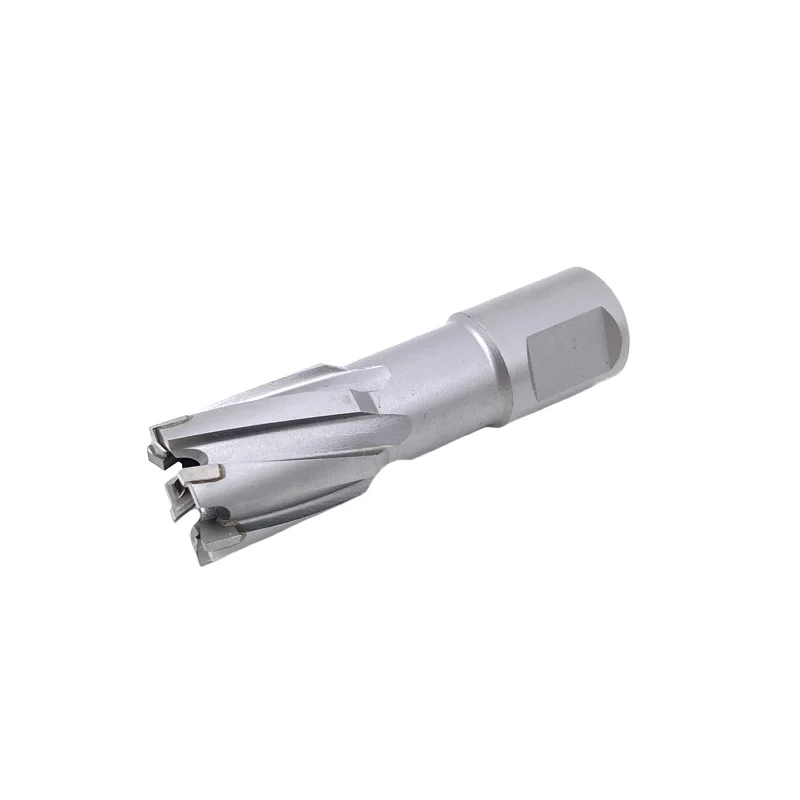 HSS Annular Cutter Weldon Shank Broach Cutter Magnetic Drill Bit for Metal Sheet