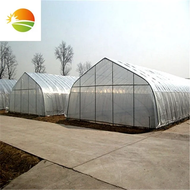 UV protected plastic film tunnel greenhouse single span green houses for agriculture
