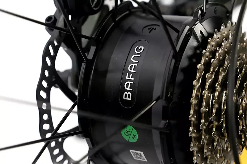 Ebike dual motor NA fashion electric bike 1000w  fat tire ebike OEM services 20ah lithium battery belt drive ebike