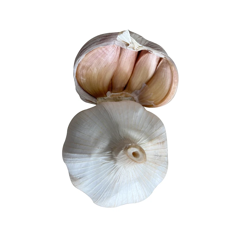 Normal white ajos 200g/250g/500g fresh raw garlic form Chinese for sale in bulk