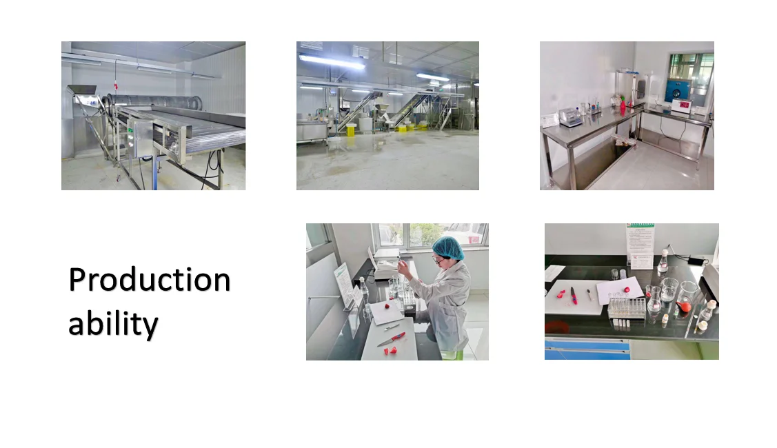 Лучшее качество замороженных грибов шиитаке для горячей продажи оптом и в розницу