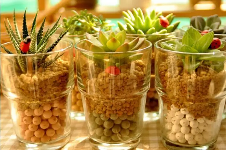 Strength factory planting ceramsite wholesale aquaponic leca hard china ball clay for hydroponics