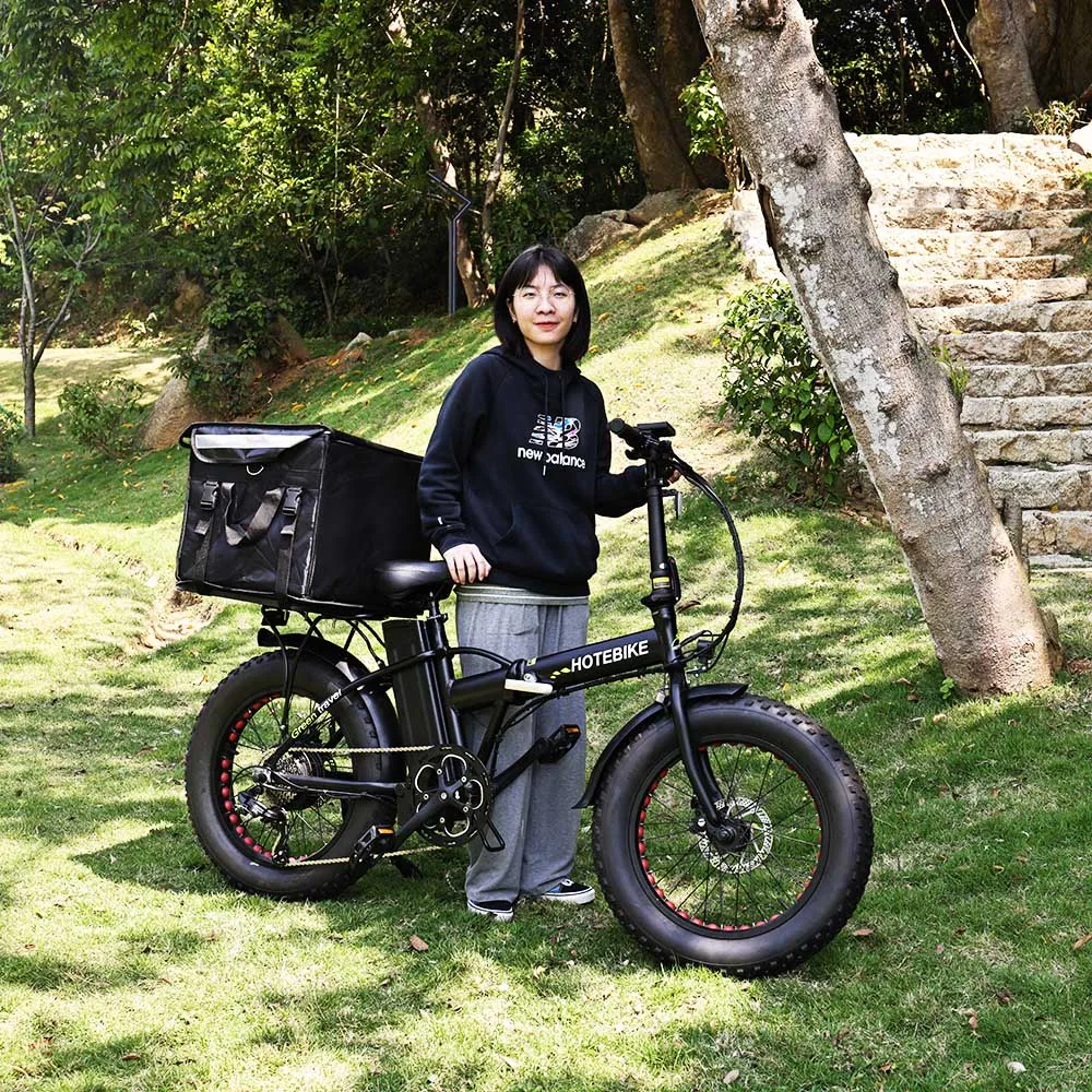 Best Price Fat Dirt Bicycle Batteries For 48V Electric Bike A7AM20 250 350 500W 750W motor foldable ebike