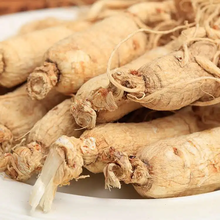 Free Samples Panax Root Korea Honey Red Ginseng Ginseng Korea