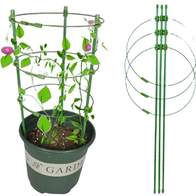 Rose climbing flower bracket (European style horticultural support) used to heighten the climbing support frame of outdoor