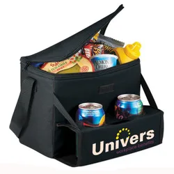 beach cooler bag