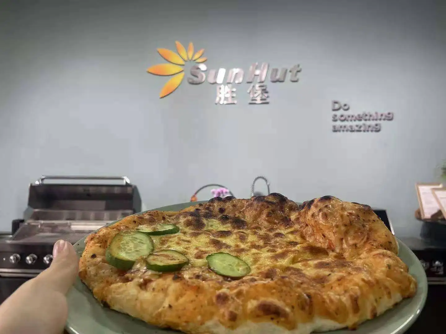 12 inch 2021 hot selling pizza oven stainless steel outdoor pizza oven wood fired pizza oven