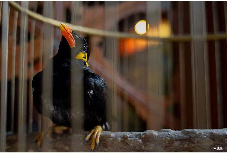 7artisans 35mm F1.4 Full Frame Manual Fixed Lens for Sony E-mount A7 A7II A7RII A7S A7SII A7III A7RIII A6500 Camera