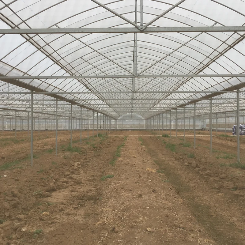 The best selling tomato greenhouse heating system in the winter