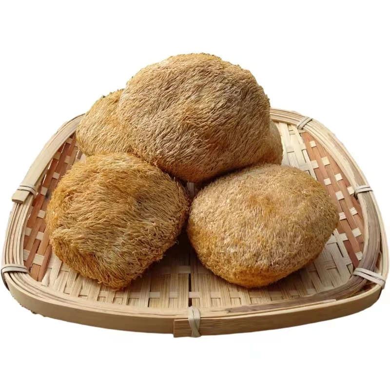 DETAN export dried organic lions mane