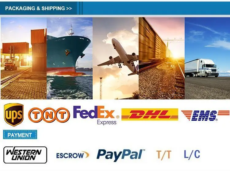 cdma fixed wireless phone