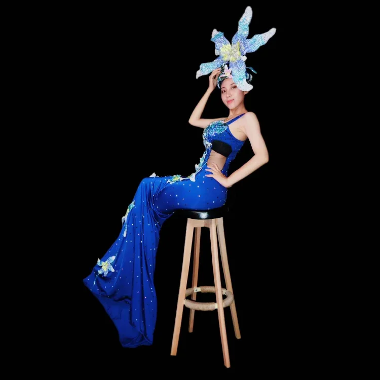 
Blue Lily Rhinestone Mesh Long Dress Dance Sexy Stage Exotic Dance Clubwear 