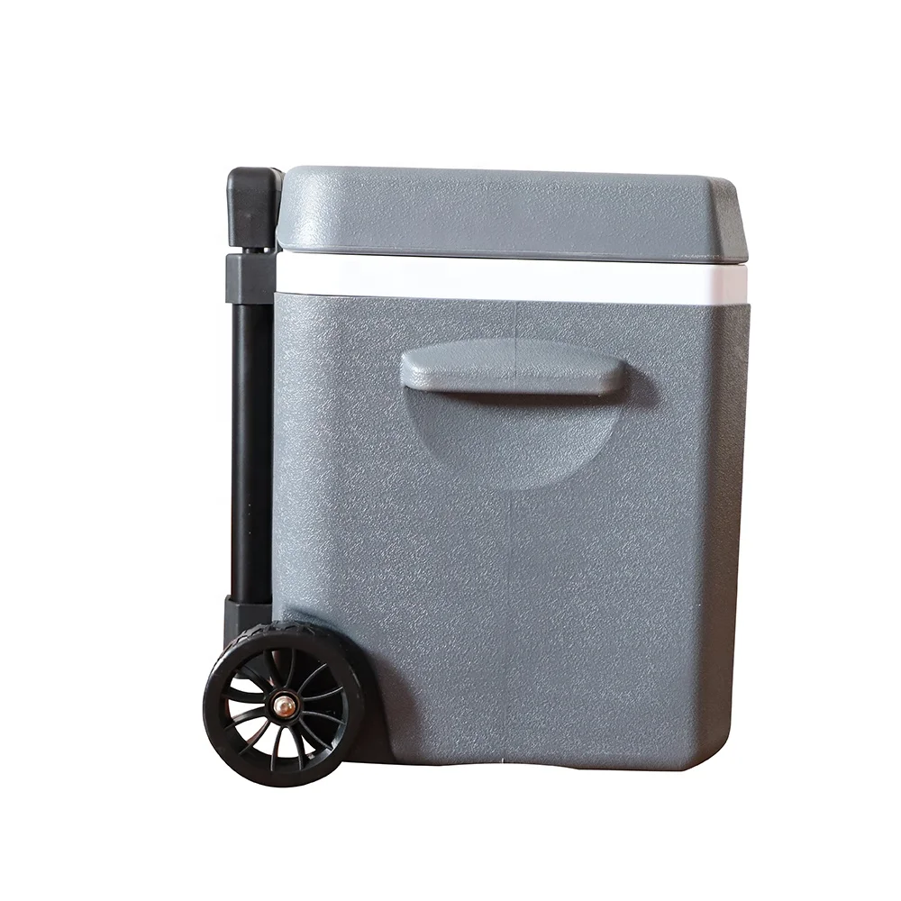 Reusable Insulated Plastic Outdoor Ice Box Portable Beer Can Drinking Cold Storage Bag Vacuum Insulated Panel Cooler Box