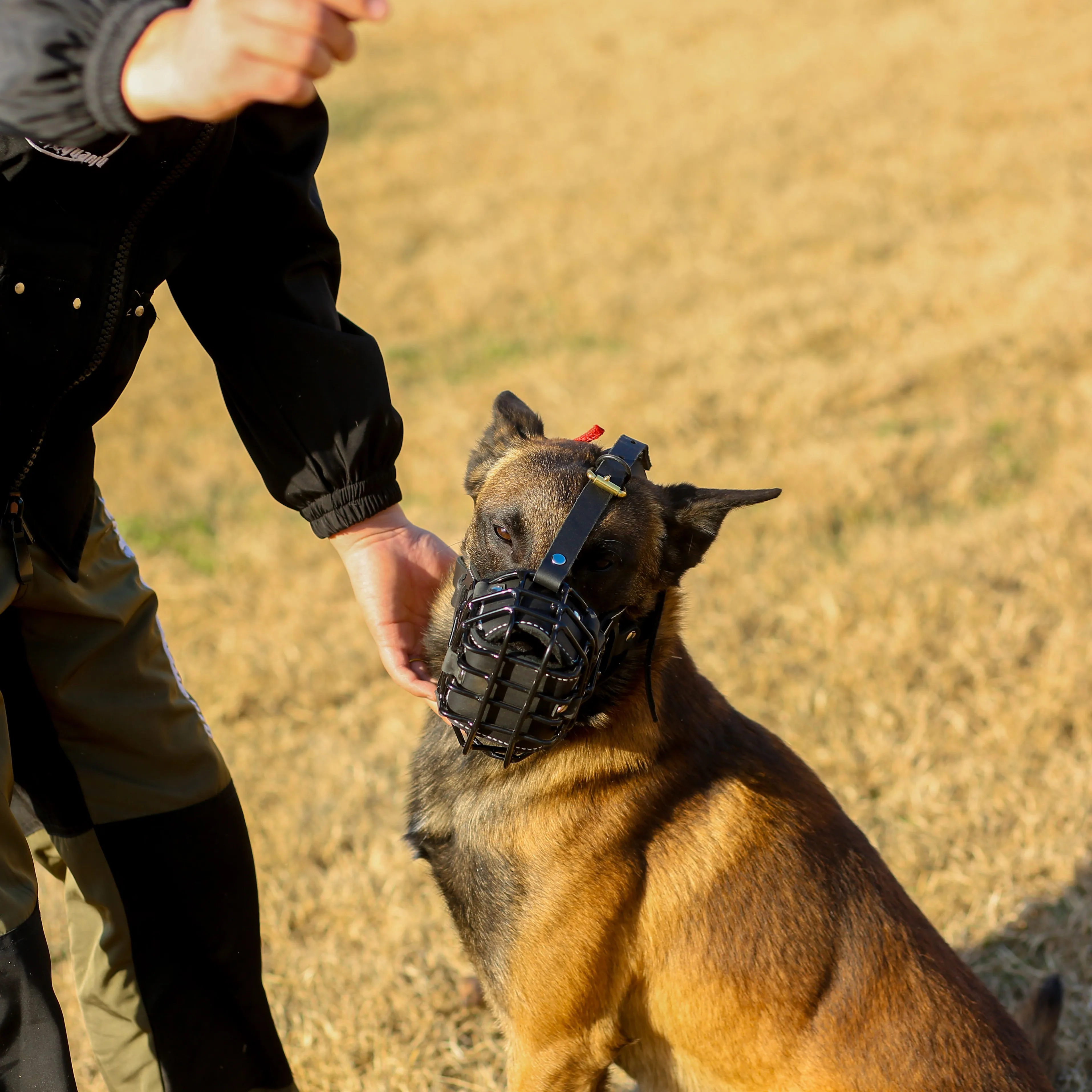 
k9 dog muzzle bite suit 