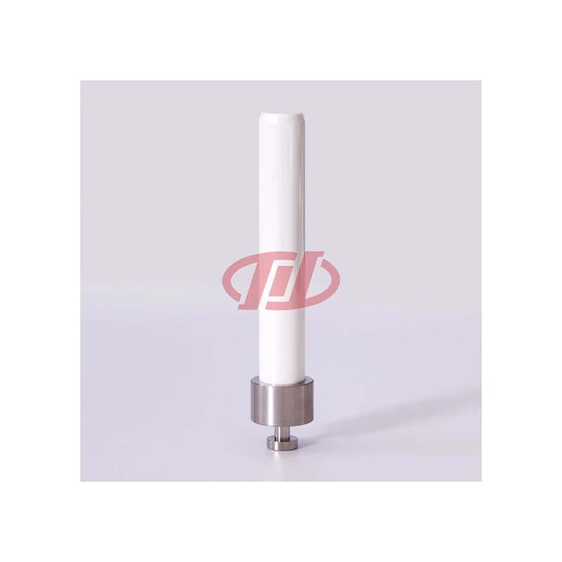 Hot Sale High Finish Stainless Steel and Alumina Ceramics Plunger Shaft Sapphire Plunger Rods