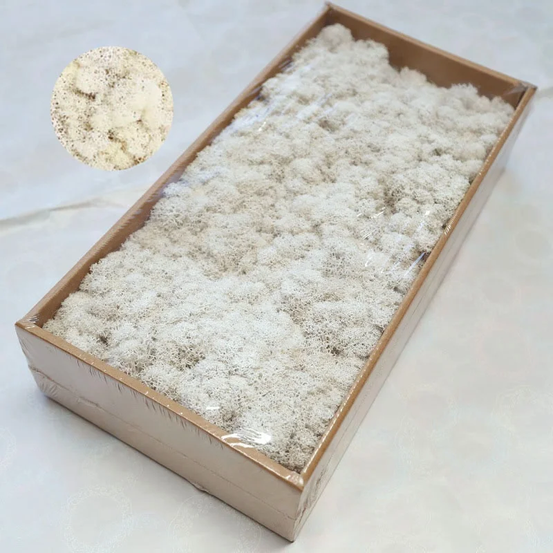 Yunnan Wholesale Colorful Preserved Moss 500g/box for Home Garden Wall Decoration Preserved Flowers and Plants