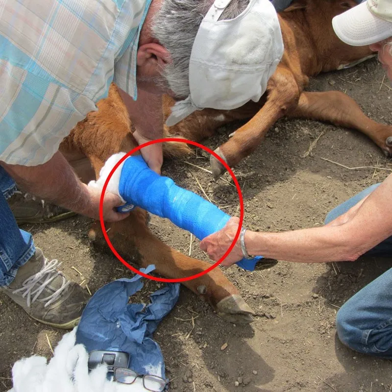 Nonwoven Cohesive Elastic Bandage Veterinary Cattle Vet Wrap Horse Cohesive Bandage Stretch Self Adherent Tape for Horses