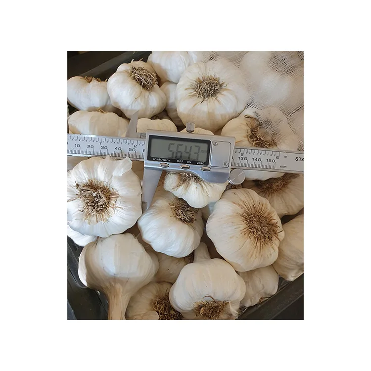 2021 Egyptian Good Price Frozen Mixed Vegetables