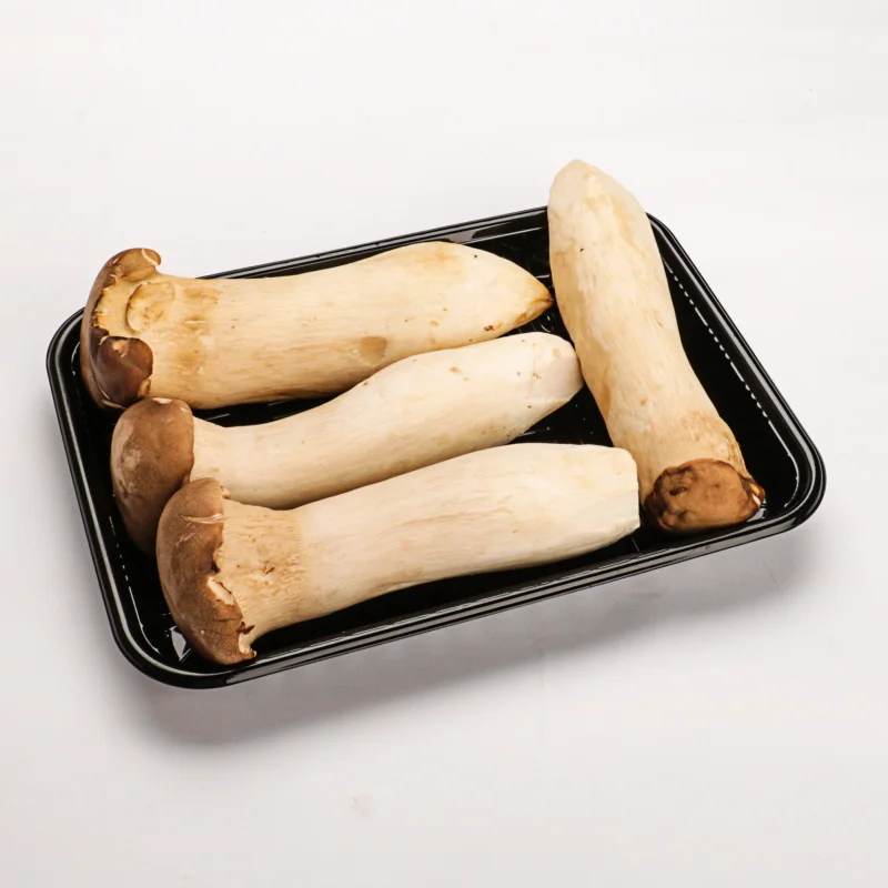 China manufacturer transparent recycled disposable PP plastic rectangular cookie box food or takeaway clam shell for Mushroom