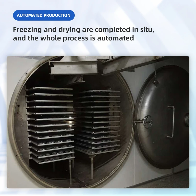 Manufacturer Supply vacuum drying commercial automatic lyophilizer industrial fruit freeze-dryer-price 20kg
