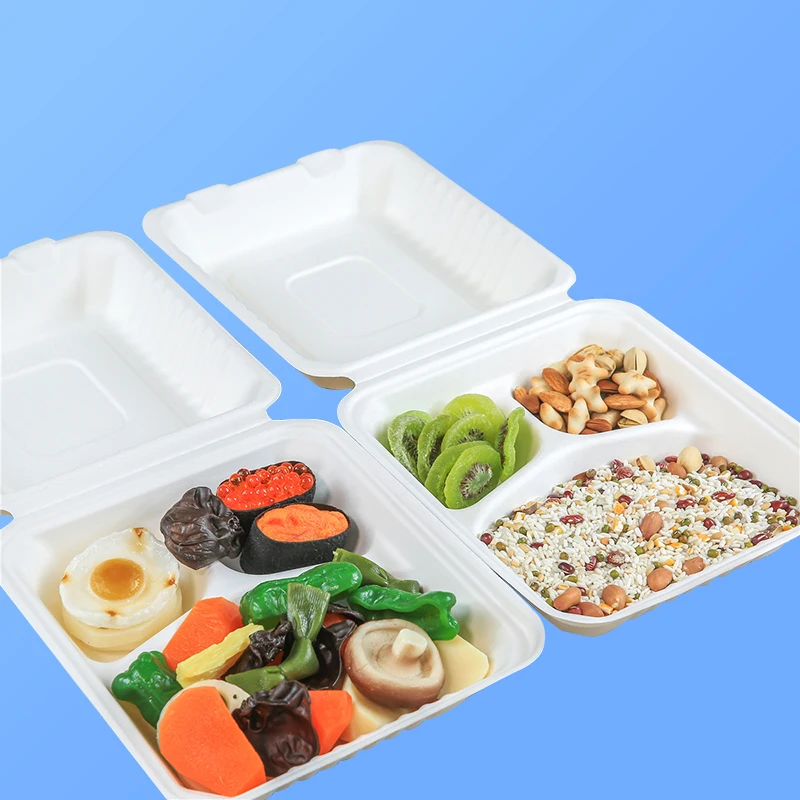 100% Biodegradable Pulp Containers Food 10x10 Round Clamshell Packaging for Food