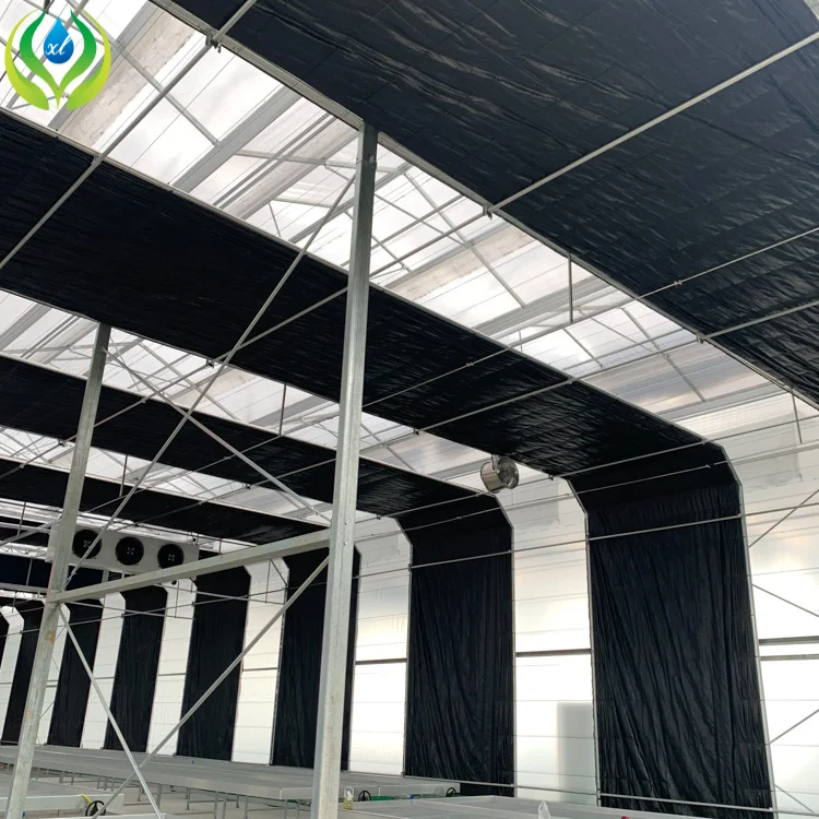 Agriculture 8 X 12m Clear Roof Tent Galvanized Steel Frame Light Deprivation Greenhouse