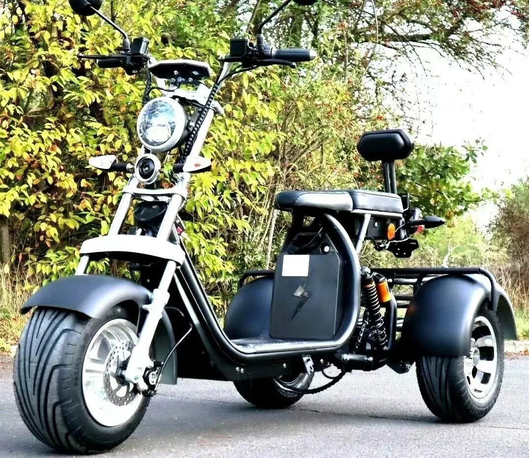 2024 VAT EEC/COC Electric Tricycle Unisex  Long Distance Powerful 45km/h Golf Mobility Two-Seater Electronic
