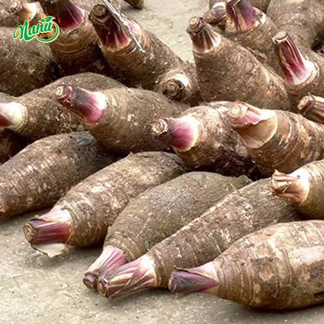  Замороженный свежий тропический продукт Taro из Вьетнама-корень
