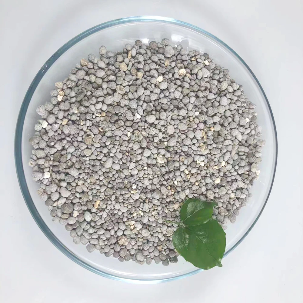 Granular Single Super Phosphate SSP Superphosphate P2O5 18 Fertilizer Price