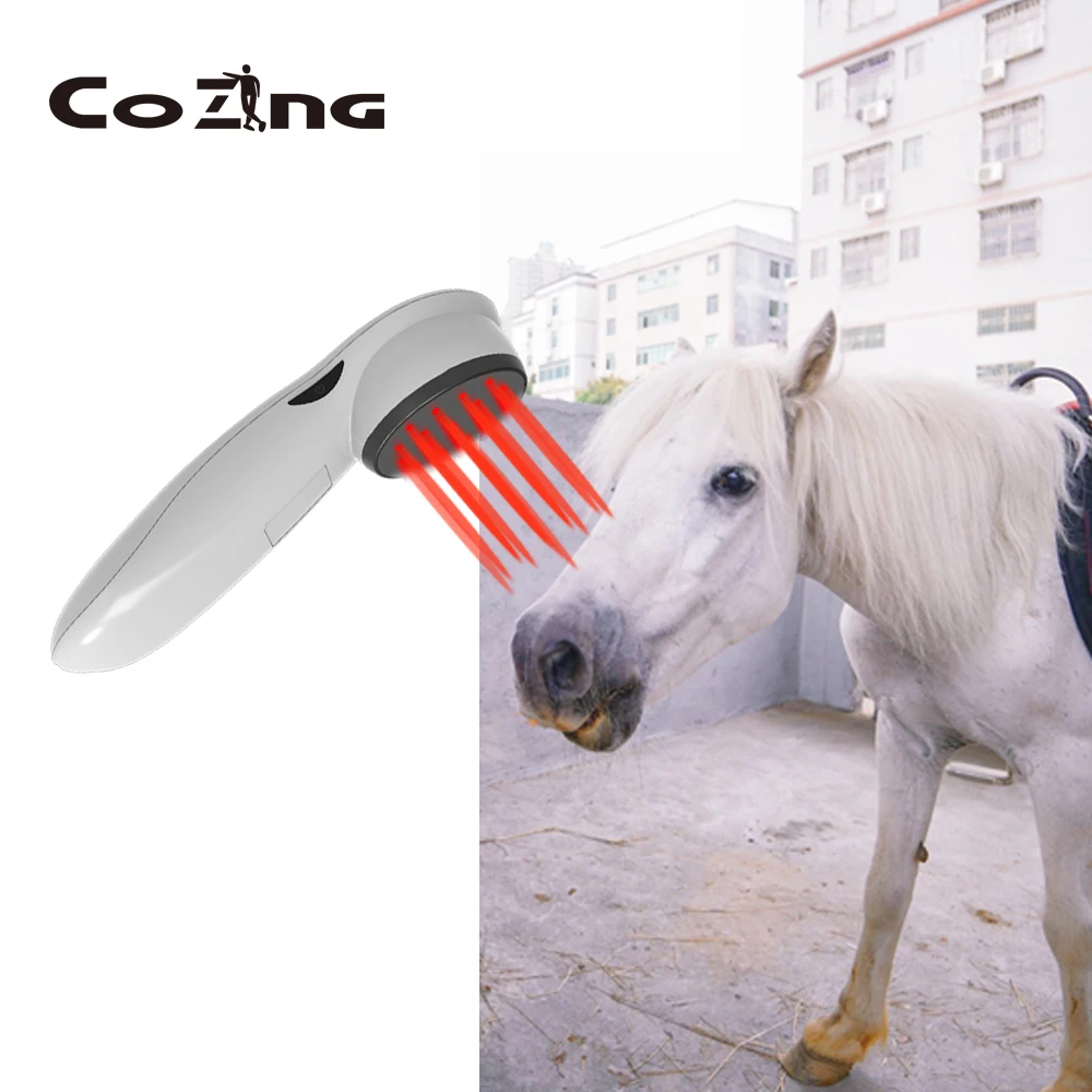 Medical Soft Laser Rehabilitation Instrument Laser Cold Therapy Device 650nm 808nm Laser Pain Releif Class 4