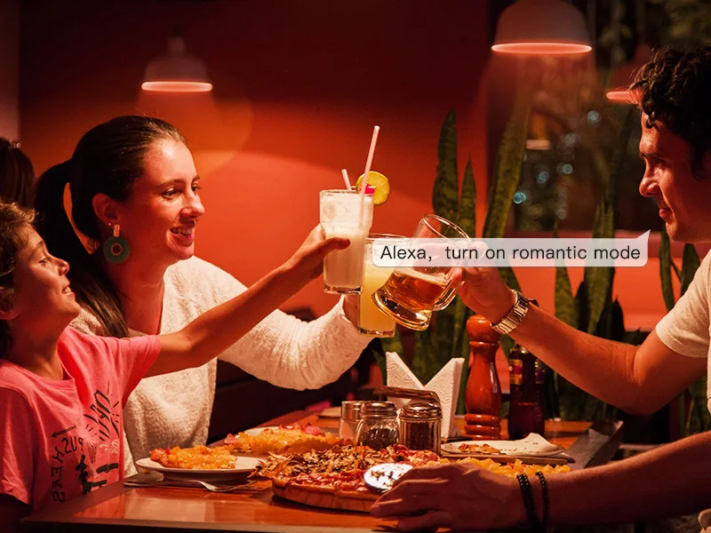 Nordic 24W Indoor TUYA WIFI RGB+CCT Smart Work With Alexa Led Ceiling Light