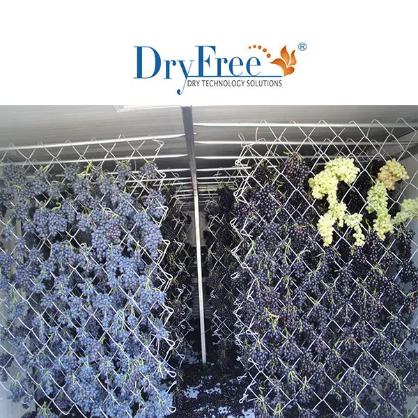 Heat pump Automatic Industry Vegetable Fruit  Dryer large Dehydrate Machine and Meat to Dehydrator oven