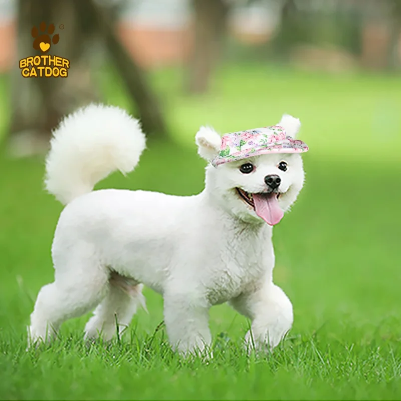 Top quality dog hat for sale soft and comfortable pet hat for summer weather protection dogs eye against sunshine
