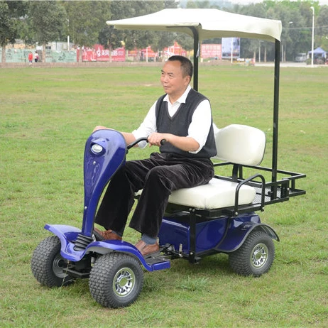 24V low speed single seat or  two seat  electric golf scooter with sun roof